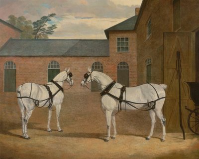 Chevaux gris dans la cour des carrosses à Putteridge Bury, Hertfordshire - John F. Herring